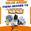 Solub Fresh Berries V2 Aroma