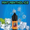 Drifter Mint Menthol İce Puff Aroma