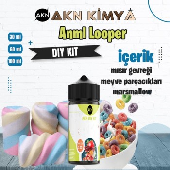 Anml Looper Diy Kit Aroma