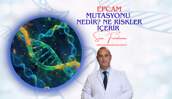 EPCAM Mutasyonu Nedir? Bilimsel Veriler, Lynch Sendromu ve Kanser Riskleri Açıklanıyor