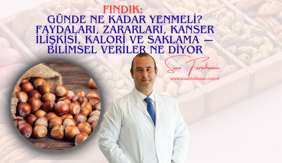 Fındık: Günde Ne Kadar Yenmeli? Faydaları, Zararları, Kanser İlişkisi, Kalori ve Saklama — Bilimsel Veriler Ne Diyor