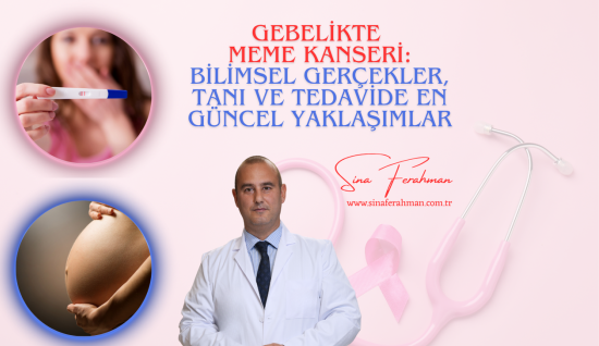 Gebelikte Meme Kanseri: Bilimsel Gerçekler, Tanı ve Tedavide En Güncel Yaklaşımlar